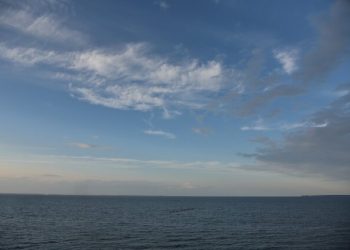 Donna Karan Hosts Hamptons “Tulip Fever” Screening In Support Of Sag Harbor Cinema