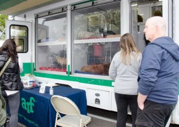 Dreary Weather Doesn’t Put A Damper On East Hampton Village’s Spring Street Fair