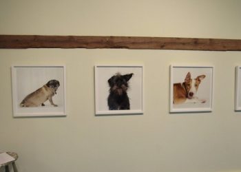 Madoo Conservancy’s “Much Ado About Madoo” Kicks Off With Garden Party