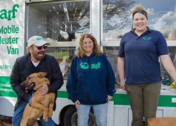 Little Lucy’s Hosts 18th Annual Hamptons Halloween Pet Parade