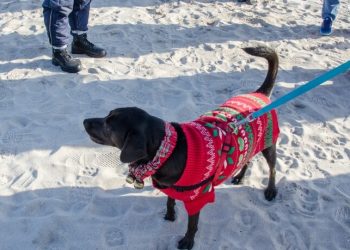 Heart Of The Hamptons Polar Bear Plungers “Get Freezin’ For A Local Reason”