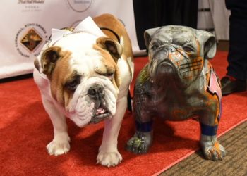 Coco Austin Hosts Long Island Bulldog Rescue’s Bash For The Bulldog