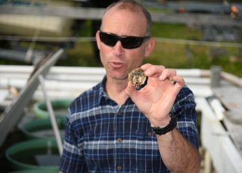 South Fork Sea Farmers And EHSEED Host Shell It Out – Hamptons