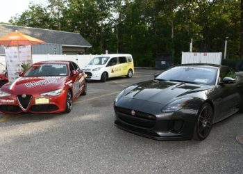 Beth Stern Hosts 3rd Annual Getting Wild At Centro To Benefit Evelyn Alexander Wildlife Rescue Center