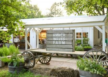 Daily Harvest Hosts Intimate Hamptons Dinner With Katie Lee, Rachael Drori, And Athena Calderone