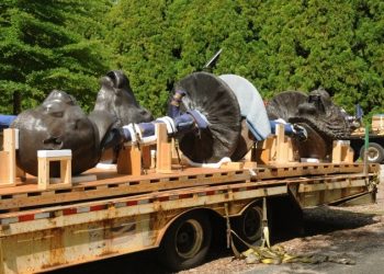 LongHouse Reserve Celebrates Their New Exhibition Of Ai Weiwei’s Circle Of Animals/Zodiac Heads: Bronze