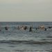 Siblings Organize Amagansett Paddle Out