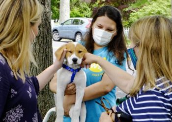 Art Remsenburg At The Academy Presents “Animal Kingdom”