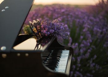 Southampton Cultural Center: Summer Concert At Cooper’s Beach