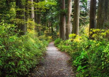 EH Trails Preservation Society’s Stony Hill Hike