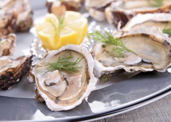 Rocky’s Lobster Bar Is Now Open