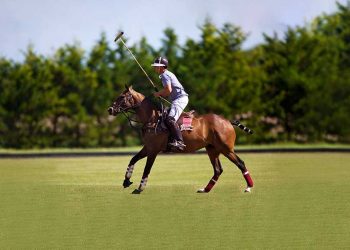 Polo Hamptons Match & Cocktail Party