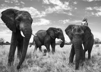 Havens Gallery Presents: Paul Giggle’s 1st Solo Exhibition