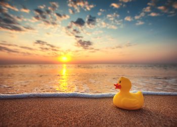 10th Annual Rubber Duck Race On Reeves Bay