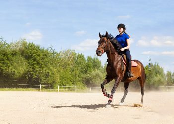 The Hampton Classic In Bridgehampton