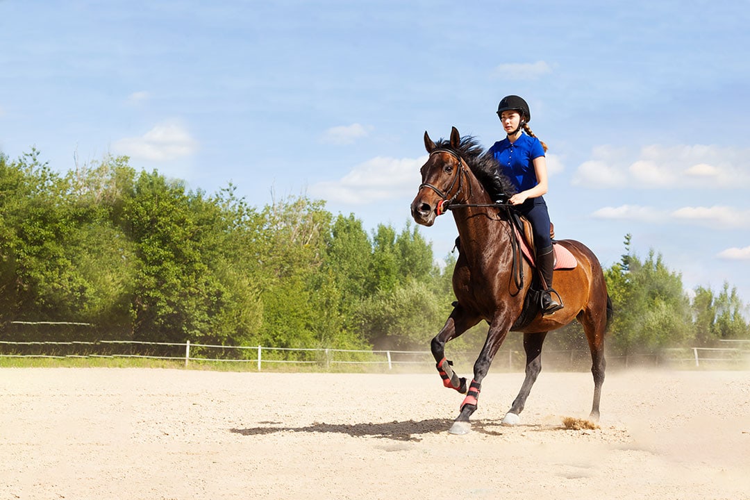 The Hampton Classic In Bridgehampton