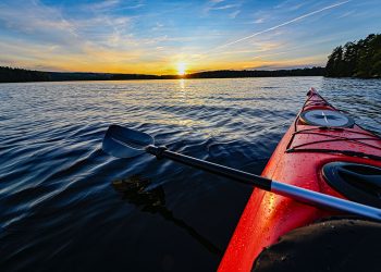 SOFO’s Nature Tour & Seining With East End Explorer