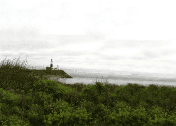 Book Review: the bitter end, by Nanci LaGarenne