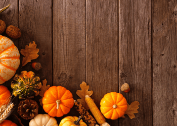 Hamptons Food Pantry 10th Annual Harvest Food Drive