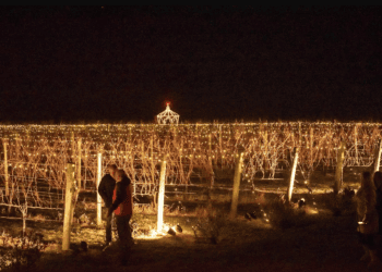 Wölffer Estate Vineyard’s Lighting Of The Vines