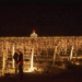 Wölffer Estate Vineyard’s Lighting Of The Vines