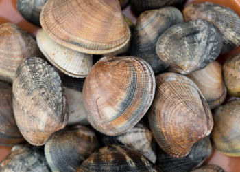 Clint Bennett Jr. A 14th Generation Bayman and his Bennett Shellfish Establishment  in Montauk