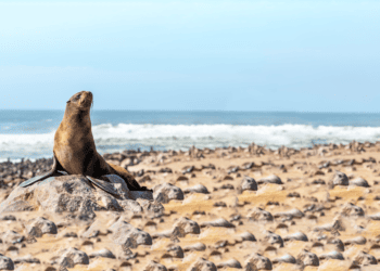 What’s Happening This Weekend – January 14th, 2022 Guide