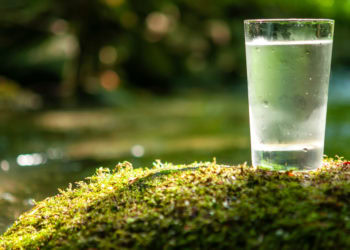 Well Water in The Hamptons – What I Now Know