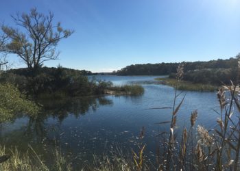 Peconic Land Trust Acquires 100 Acre Broad Cove in Riverhead