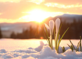 Sixty-Something: Less Than a Month Until Spring 2022