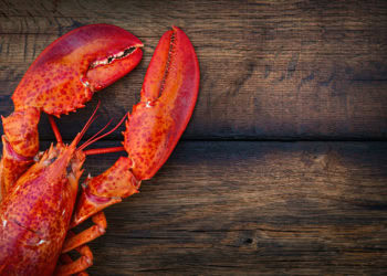 All About Lobsters: Part One – Some History