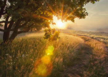 Sixty-Something: East End Early Morning Magic