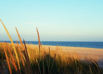 Sixty-Something: The Hamptons are a Timelessness Zone