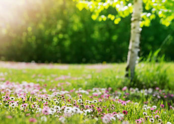 Sixty-Something: The Forever Youthfulness of Spring Fever