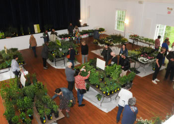 The Horticultural Alliance of the Hamptons’s Annual Spring Garden Fair and Plant Sale
