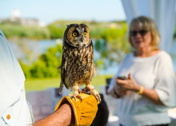 Wildlife Rescue Center Hosts 14th Annual Get Wild Benefit