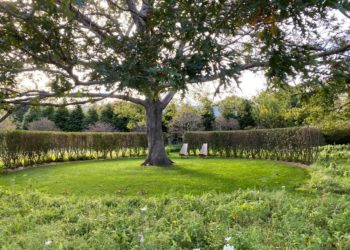 The Parrish Art Museum’s Landscape Pleasures Horticultural Event