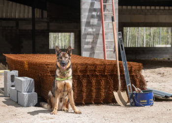 Experience Animal Rescue Fund Of The Hamptons’ Bow Wow Meow Ball at Home