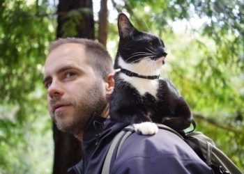 Hamptons Doc Fest and the Southampton Arts Center Team Up for a Screening of “Cat Daddies”