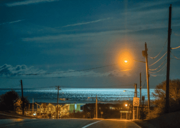 James Katsipis’s Solo Exhibition ‘Tauk’ Opens this Weekend