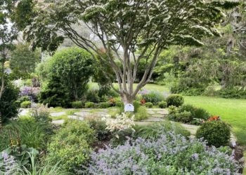The Westhampton Garden Club – Bringing Beauty to Westhampton and Quogue