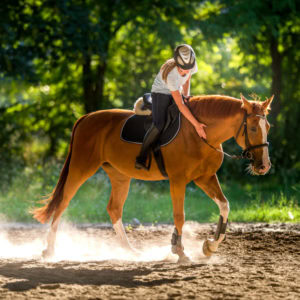 Mother's Day for the Mom who LOVES horses!