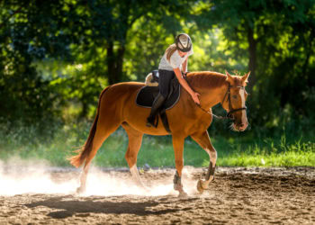 Top Hamptons Events This Weekend