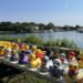 Duckie Day 2022 in Hampton Bays