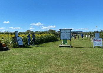 10 Reasons Why the Hamptons is Awesome in the Fall