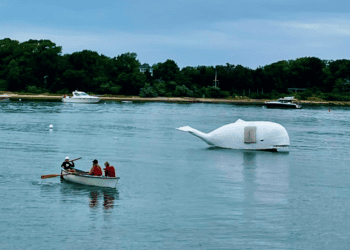 Harborfest 2022, Lively Locals in Their Element