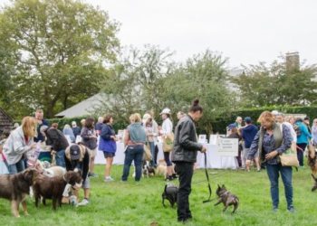 ARF’s “Stroll to the Sea” Dog Walk in East Hampton