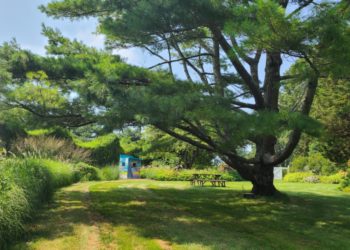 Autumn Open House at Bridge Gardens