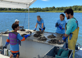 Hamptons Entrepreneur: East End Explorer Reflects on the Season and the Future