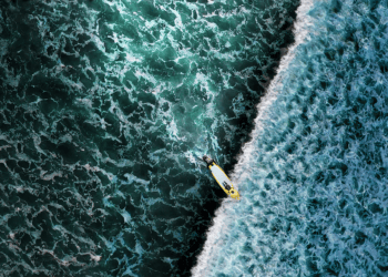 “Rocco Up” Showcases the Healing Power of the Ocean and Community